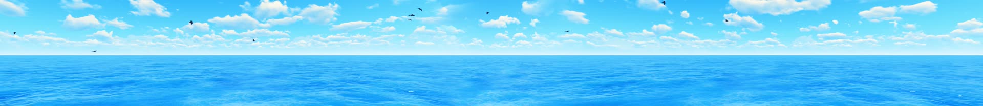 10K超宽屏蓝天白云海鸟大海无缝循环02视频的预览图