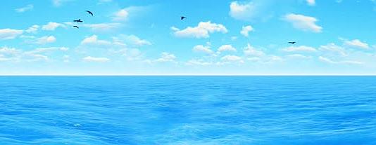 10K超宽屏蓝天白云海鸟大海无缝循环02视频的预览图