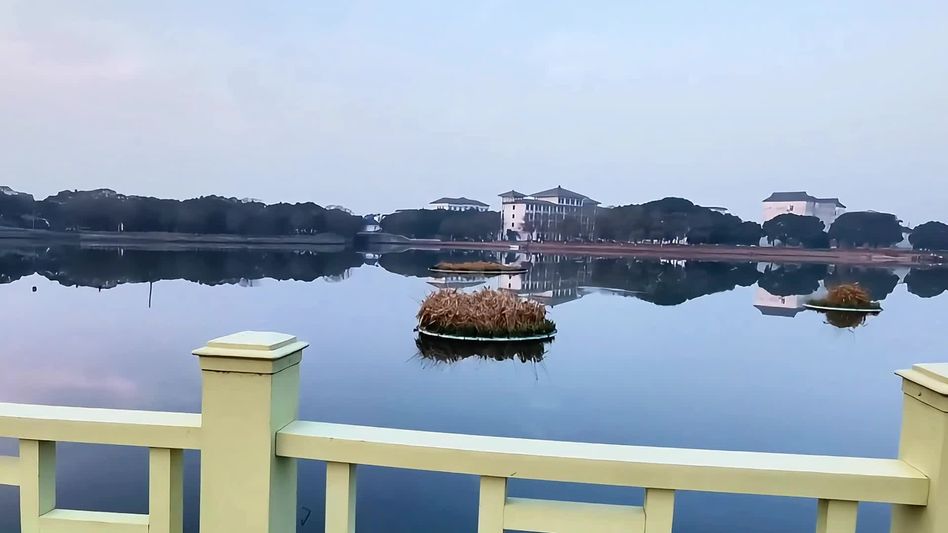 清晨平静的湖面视频的预览图