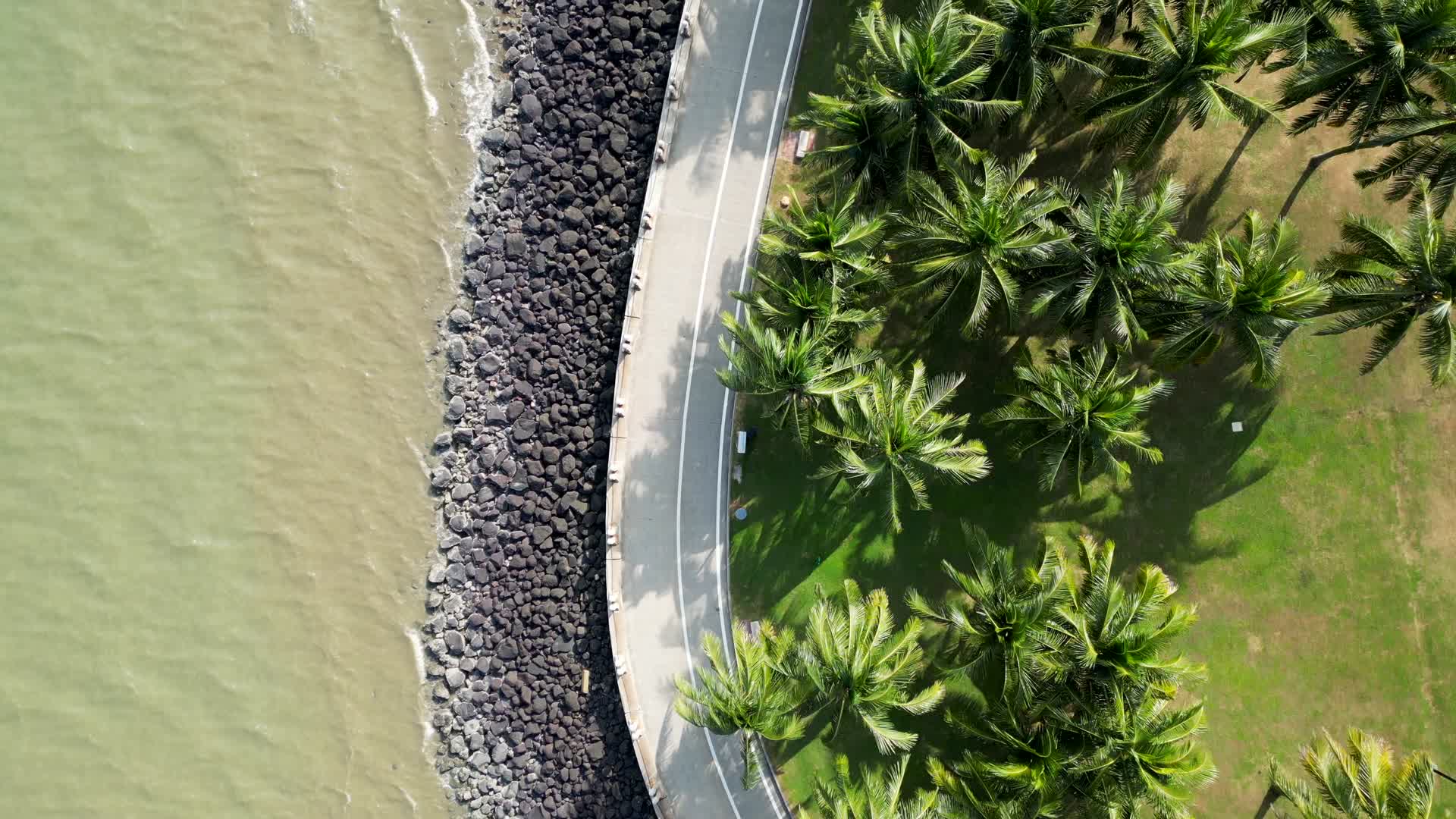 海滨城市椰子树航拍4K60视频的预览图