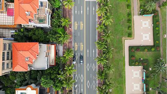 广东湛江城市街道椰子树航拍4K60视频的预览图