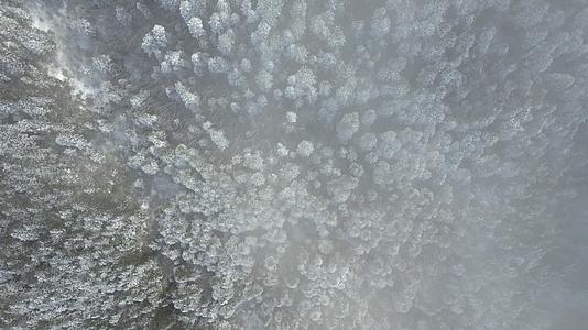 4K冬季冬天雾凇壮丽自然森林航拍视频视频的预览图