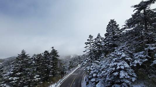 4K冬季雾凇公路自然风光航拍视频视频的预览图