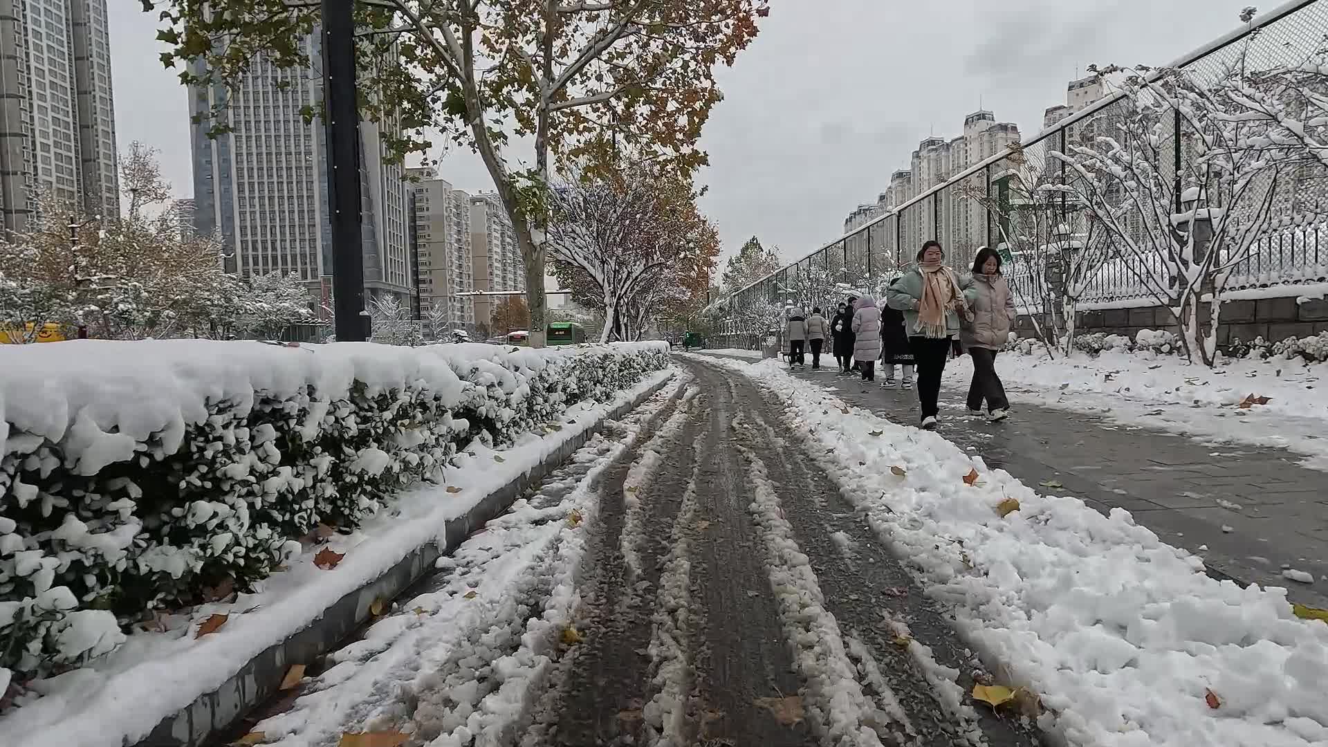 下雪城市马路实景视频的预览图