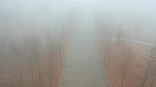 大雾笼罩视频的预览图