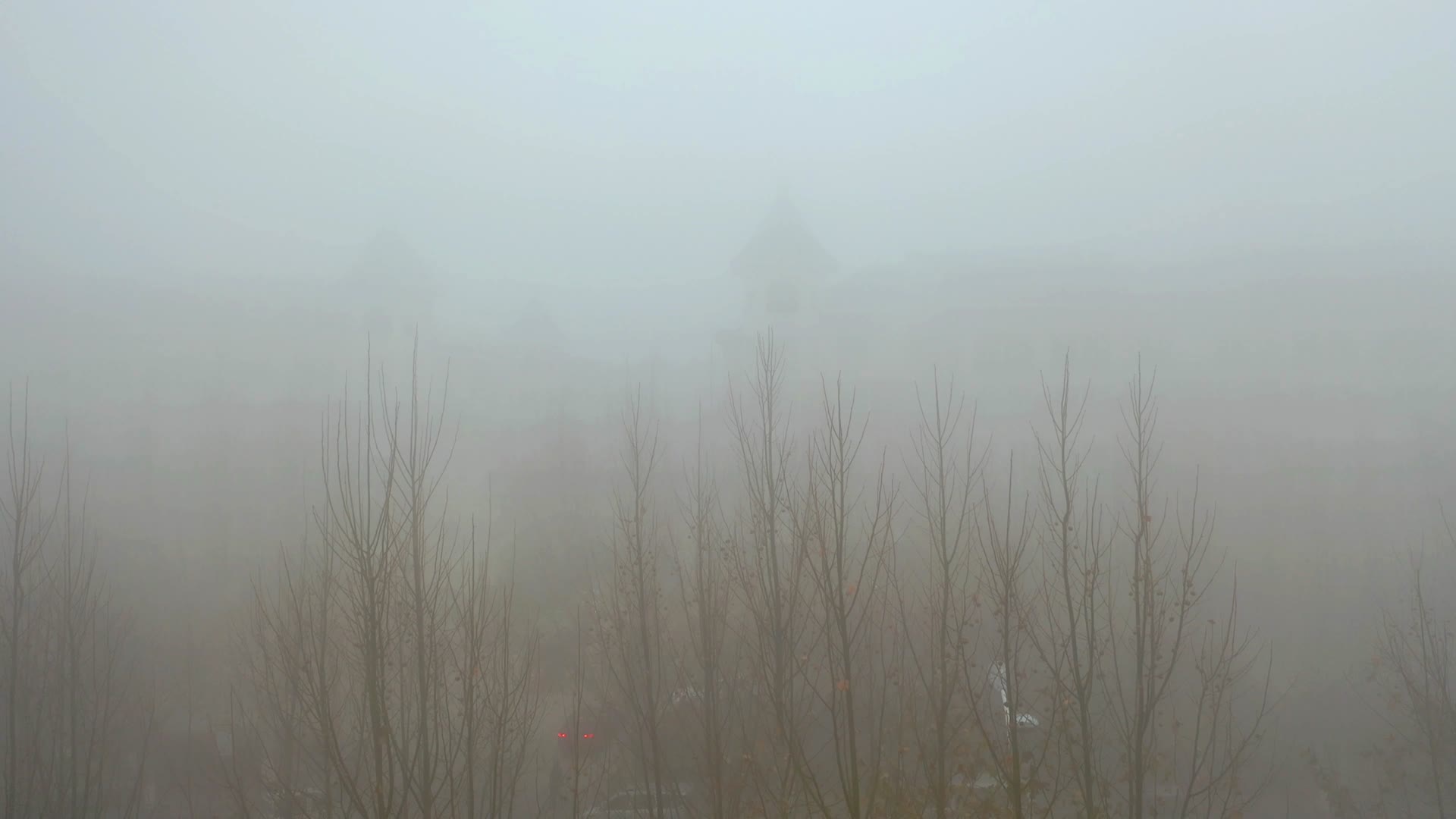 大雾笼罩视频的预览图