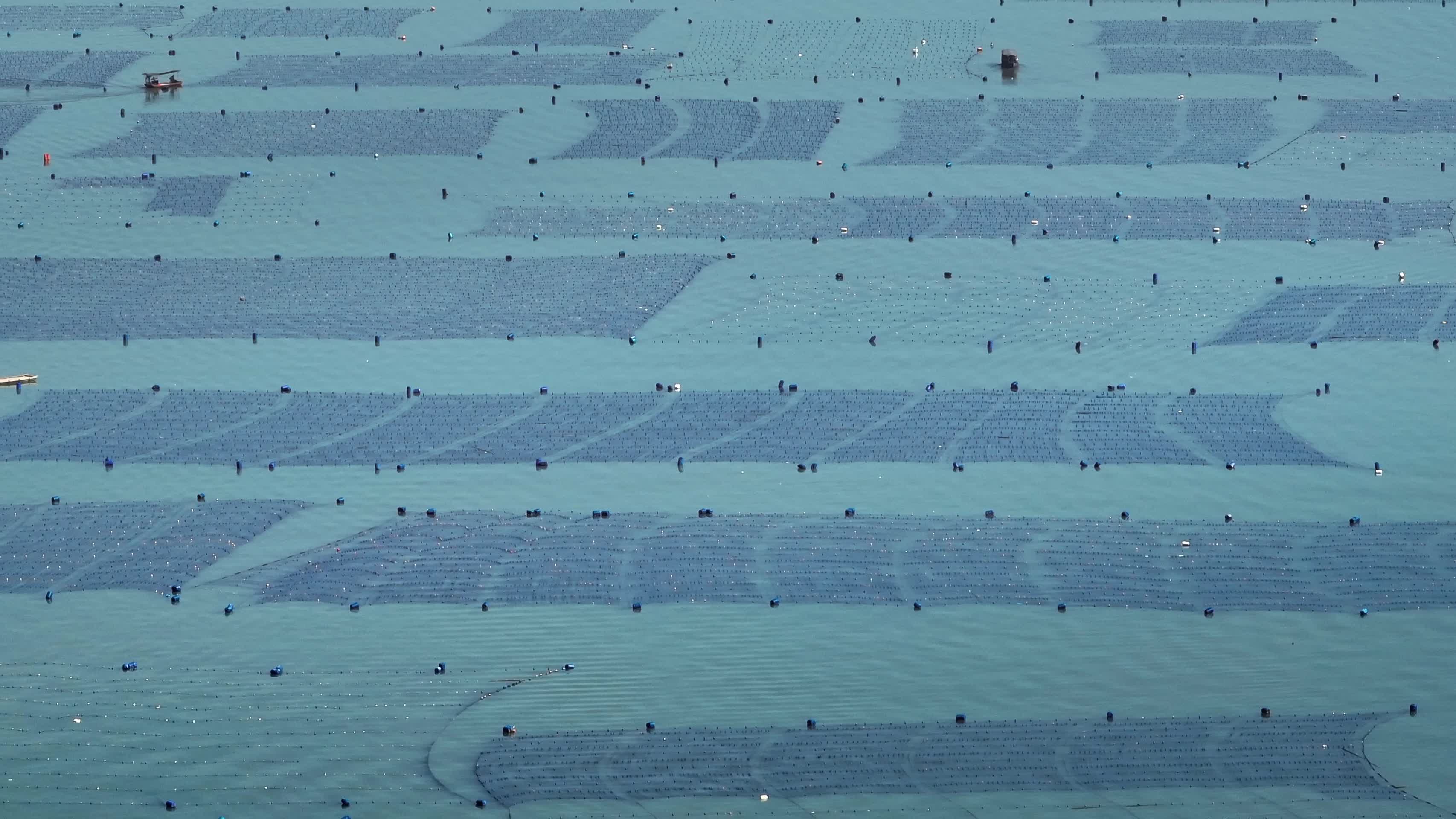 4K航拍海洋农场水上养殖网箱俯瞰视频的预览图
