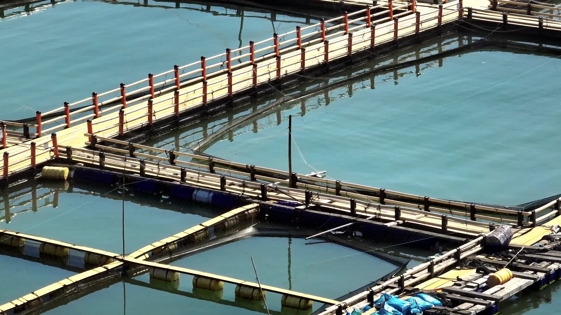 4K航拍蓝色养殖海洋渔场的日常视频的预览图