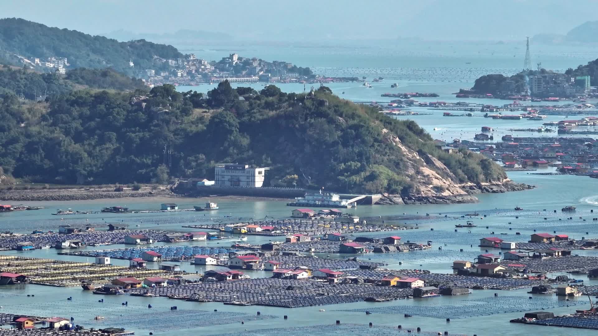 鱼排渔船繁忙景象渔港视频的预览图