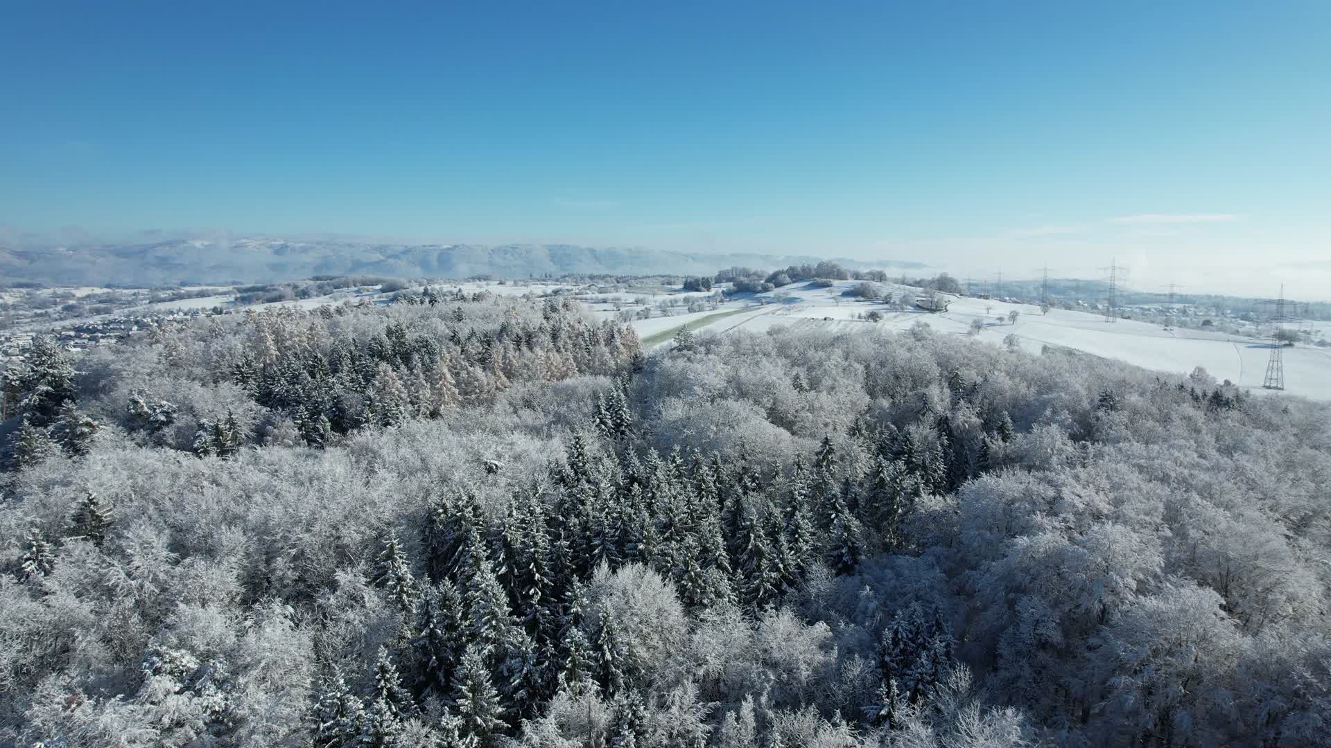 航拍森林树木雪景实拍视频的预览图