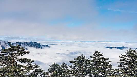4K精选森林山峰雪景视频的预览图