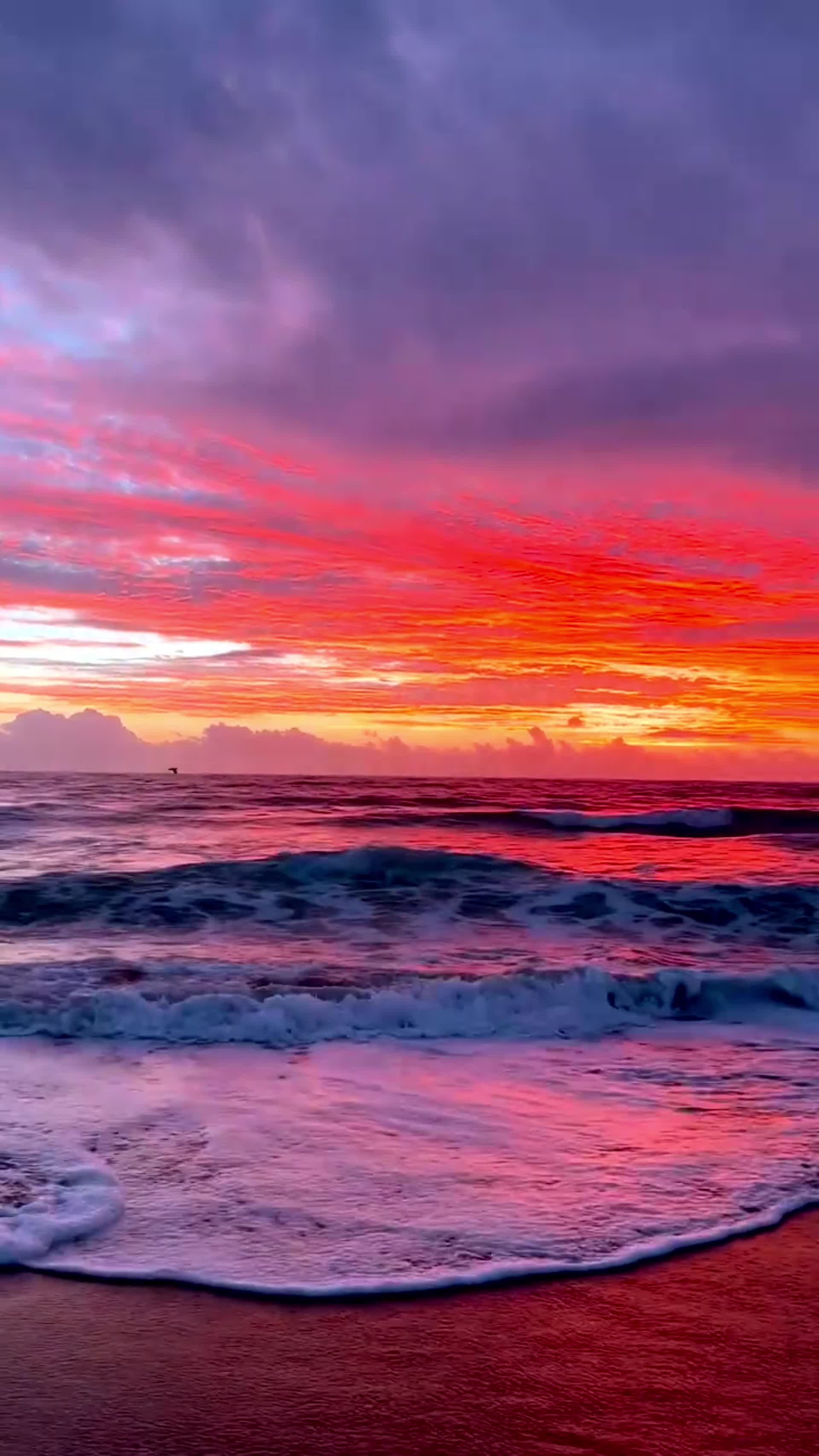 海洋海滩波浪自然景观视频的预览图