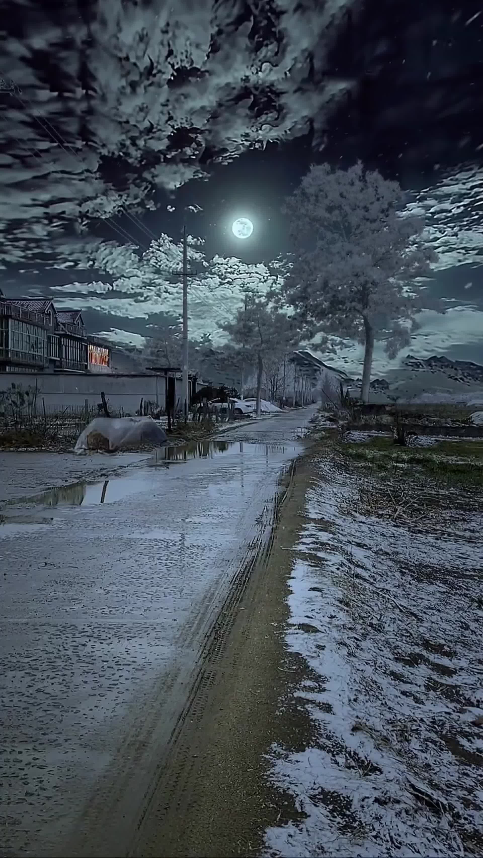 ai产生夜晚村庄道路美景视频的预览图