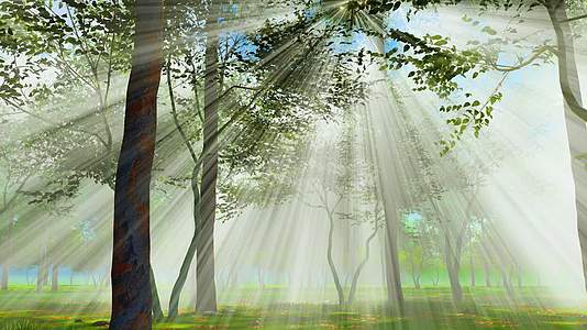 森林逆光丁达尔光线视频视频的预览图