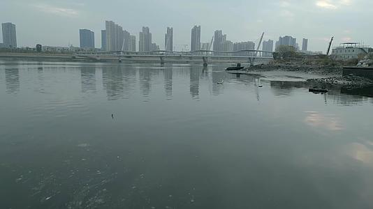厦门环东之眼海面航拍视频的预览图