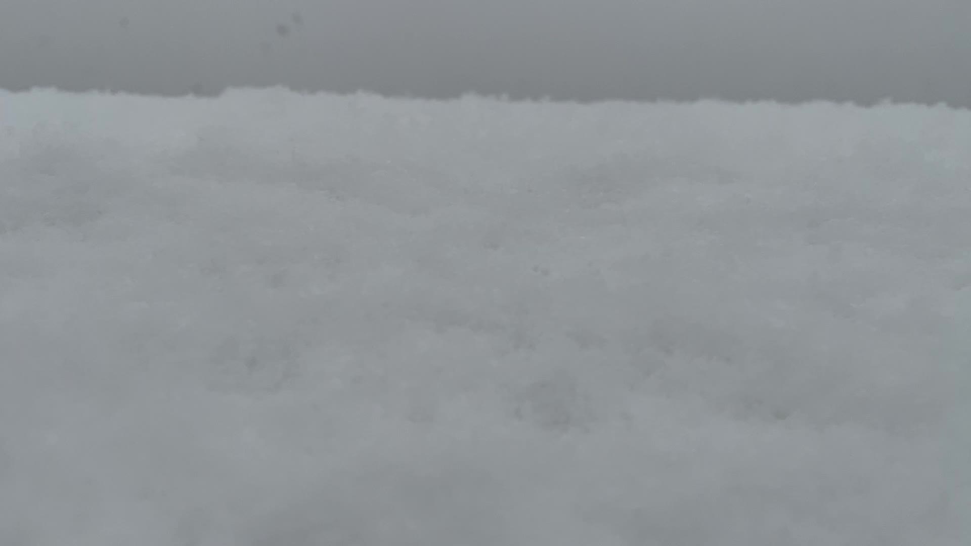 雪视频的预览图