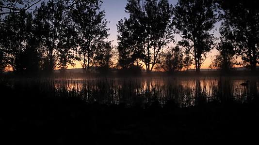 湖边树林夕阳景色视频的预览图