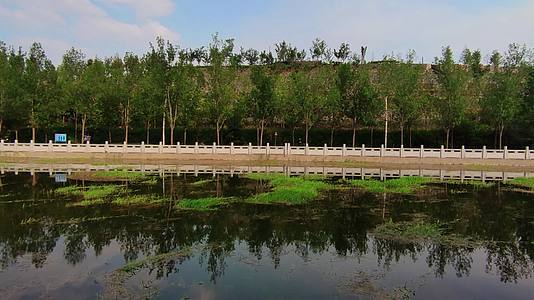 自然风景河水树林蓝天高清视频的预览图