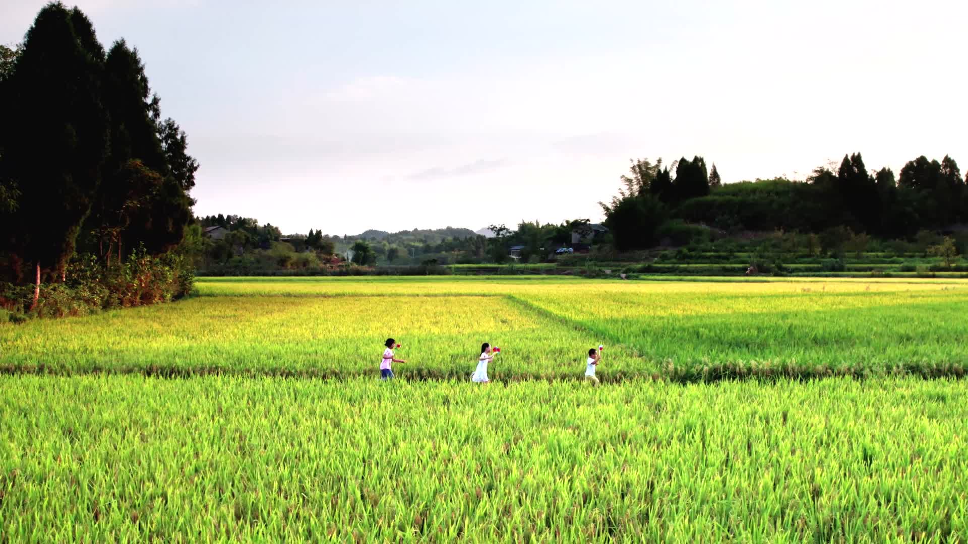 乡村振兴新农村农民幸福生活视频的预览图