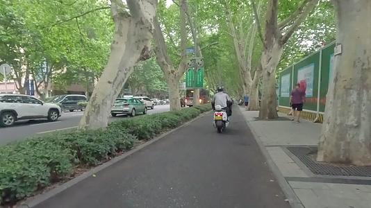 城市风光交通街道绿化视频的预览图