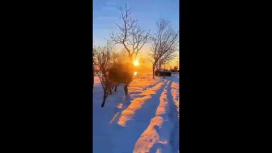雪景夕阳小路视频的预览图