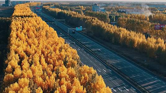 京哈高速秋天高速公路视频的预览图