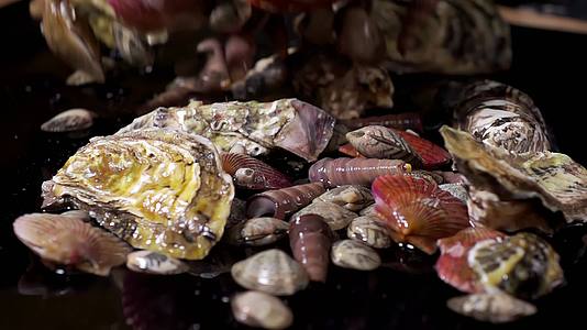 海鲜升格海螺虾海蛎子虾虎视频的预览图