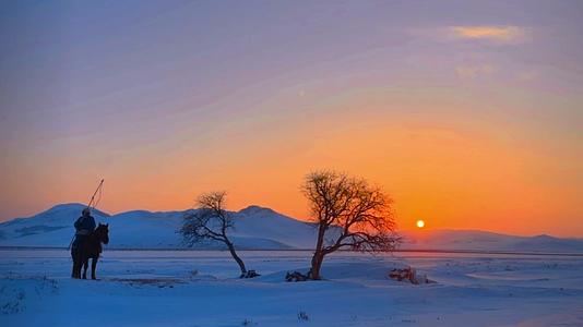乌兰布统一棵树夕阳人马雪原延时视频的预览图