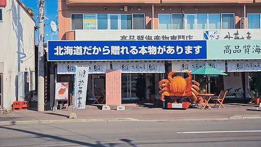 日本北海道札幌海鲜市场视频的预览图