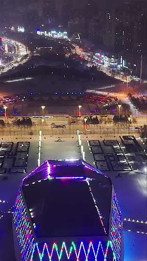 高清竖屏航拍哈尔滨冰雪大世界夜景视频的预览图