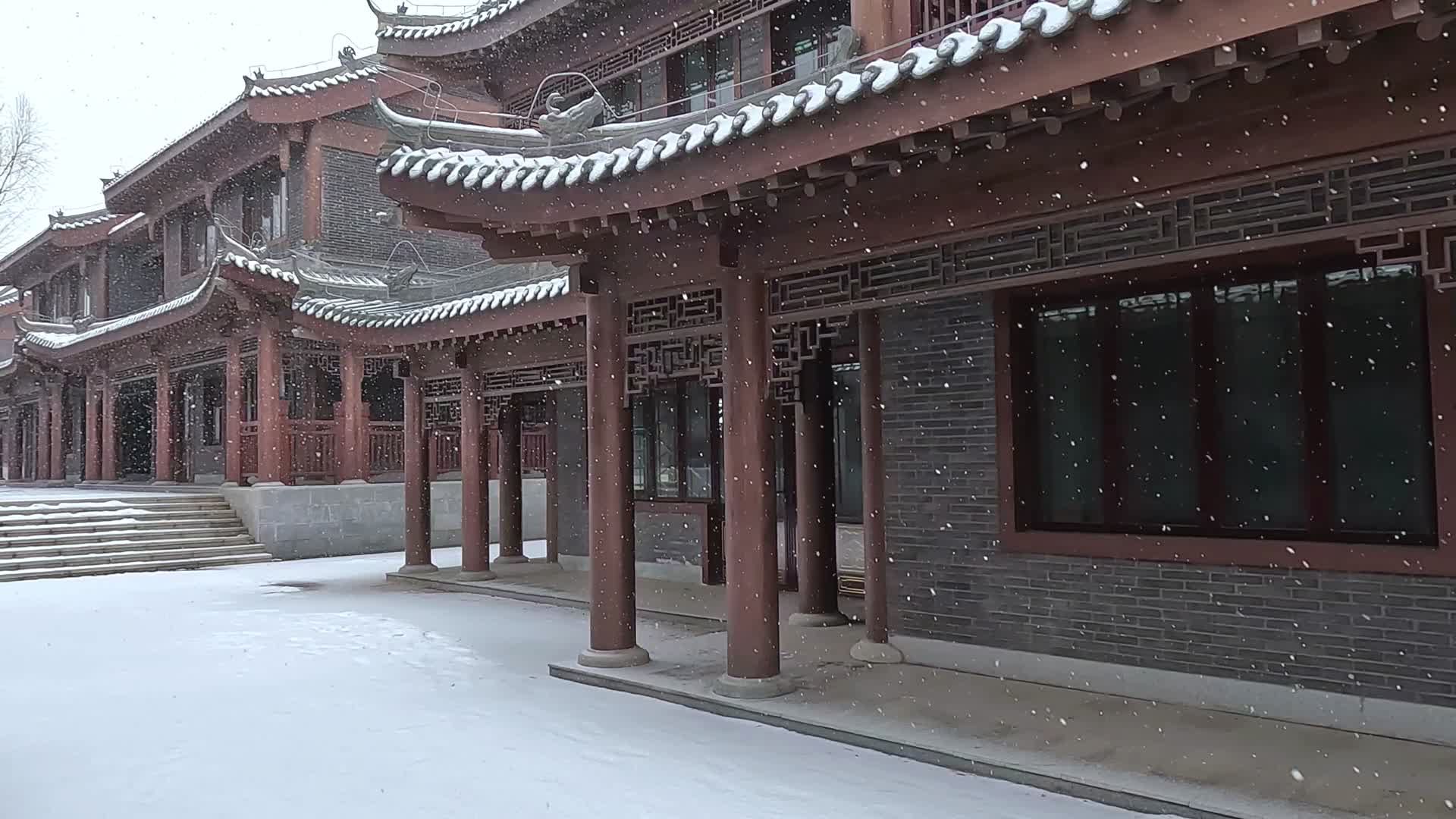下雪飘雪花古建筑街景视频的预览图