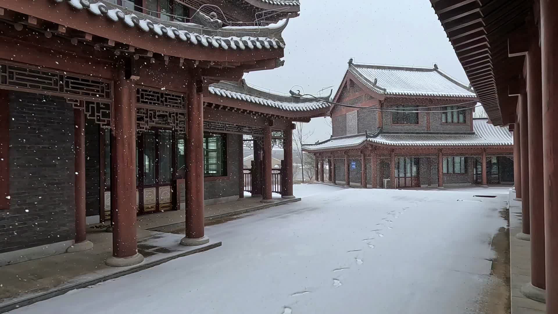 冬季真实的下雪场景视频的预览图