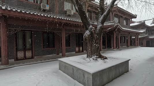 冬季下雪古建筑庭院古树视频的预览图