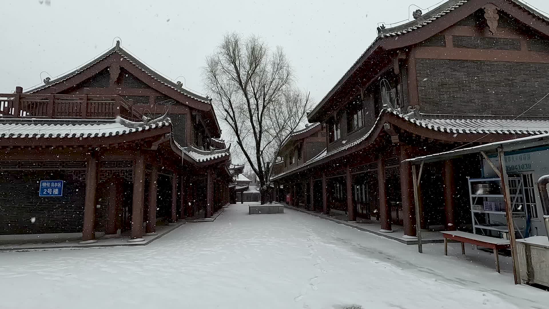户外下雪公园古建筑空镜场景视频的预览图