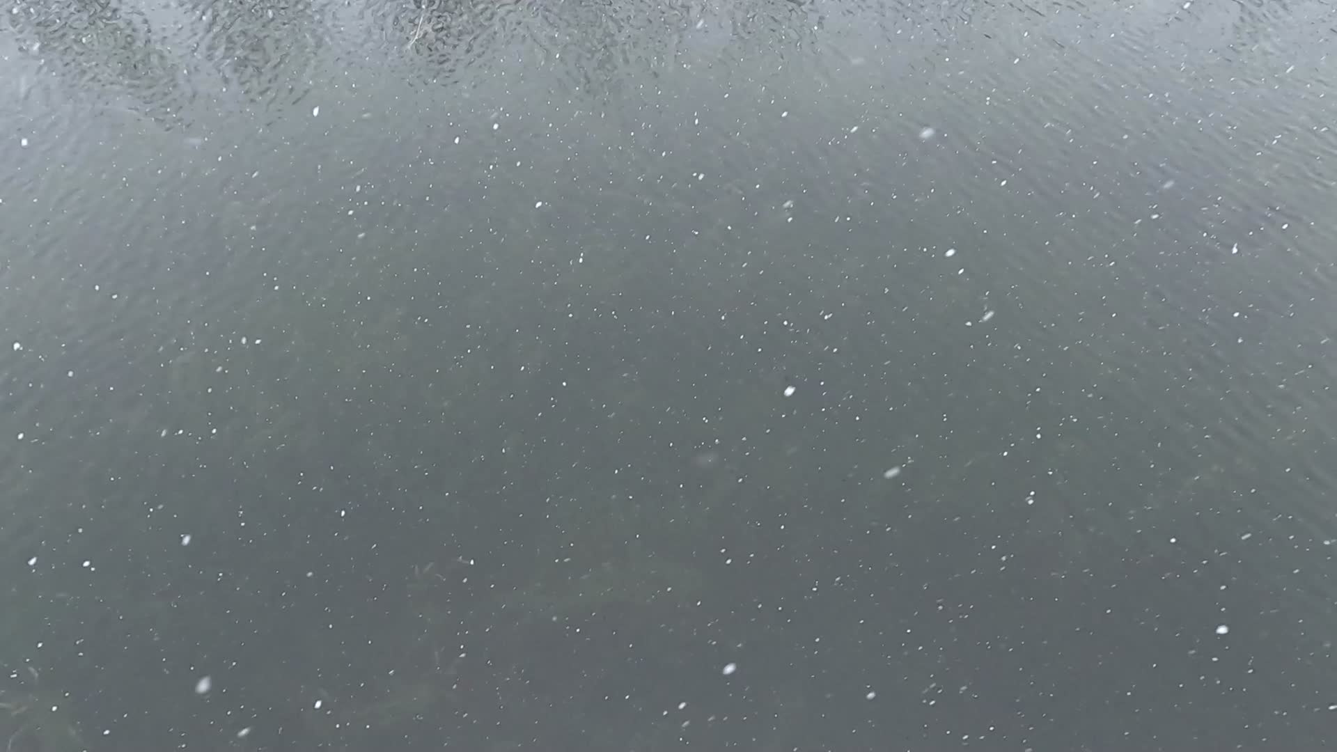 下雪落入河水视频的预览图