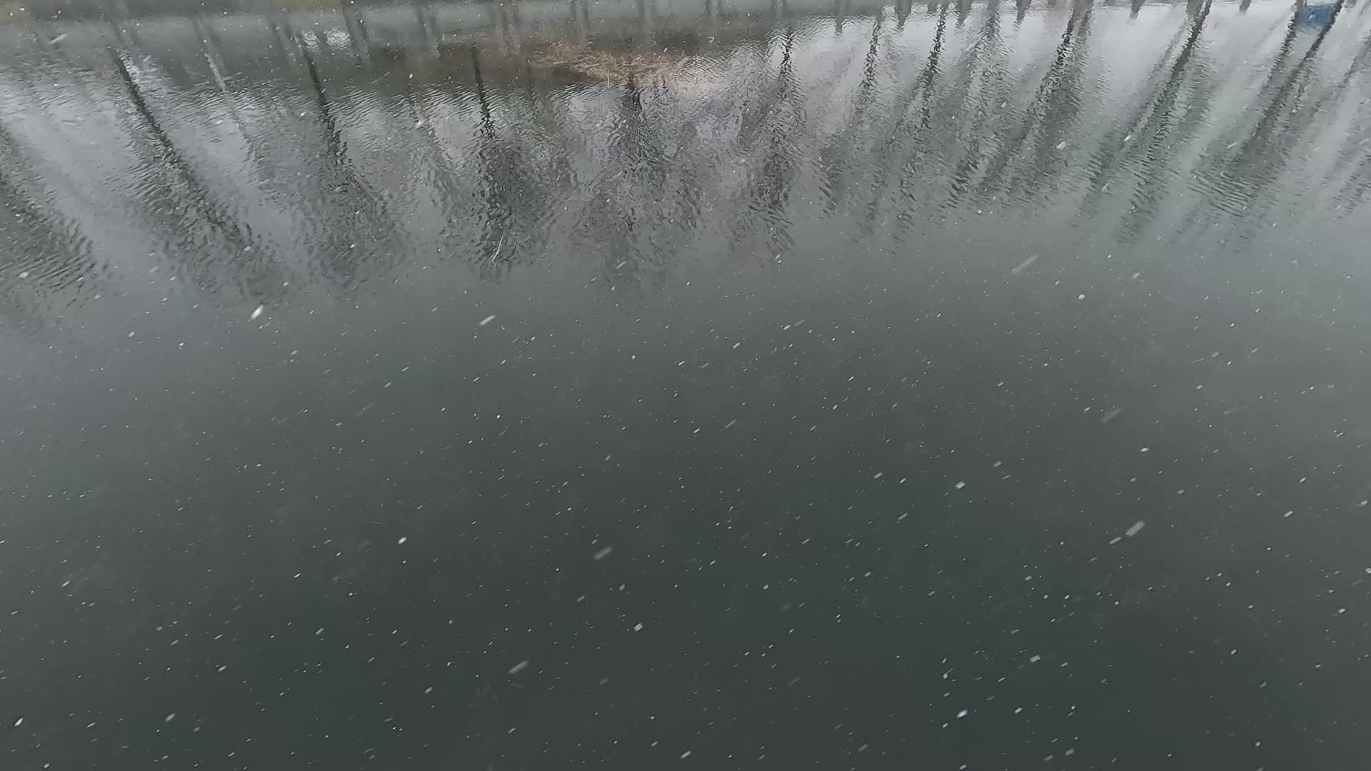 大雪飘落水面视频的预览图