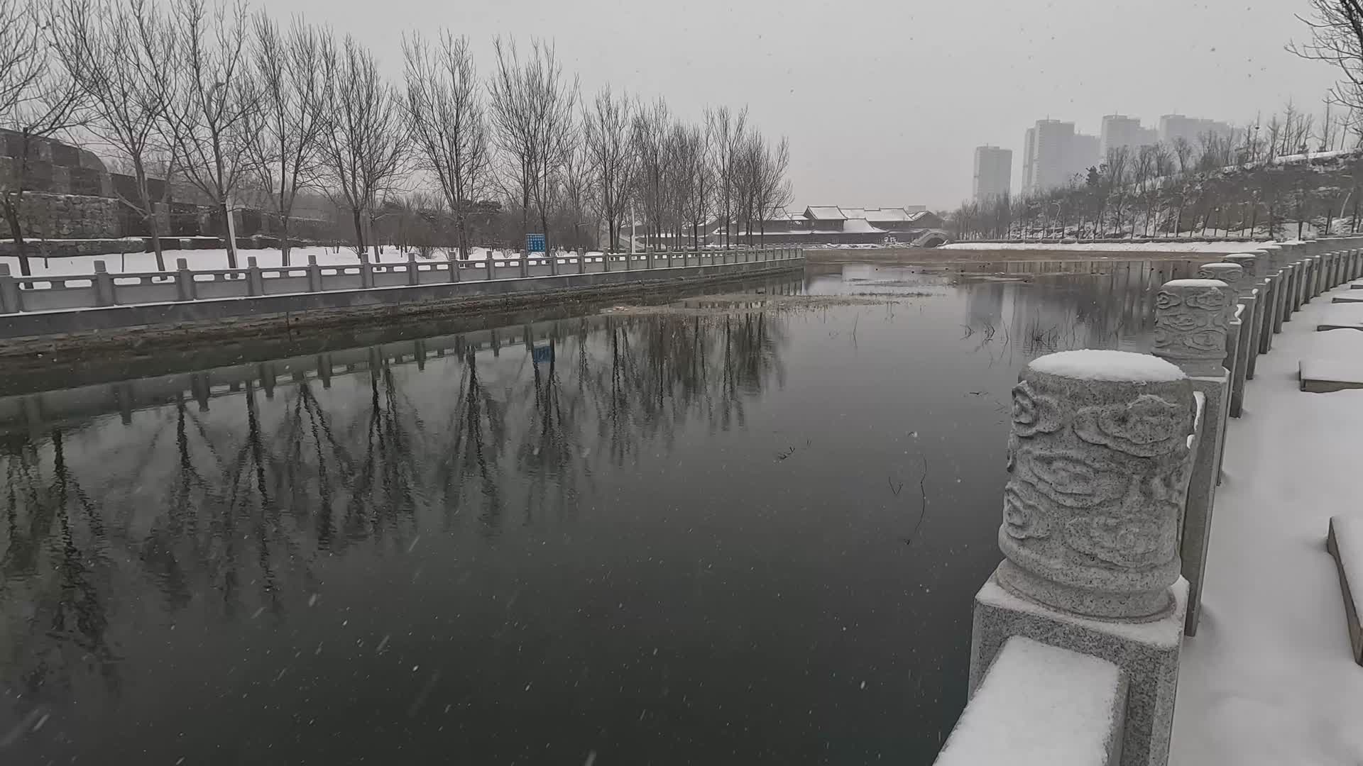 郑州贾鲁河岸边冬季下雪风景视频的预览图