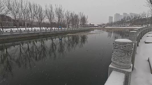 郑州贾鲁河岸边冬季下雪风景视频的预览图