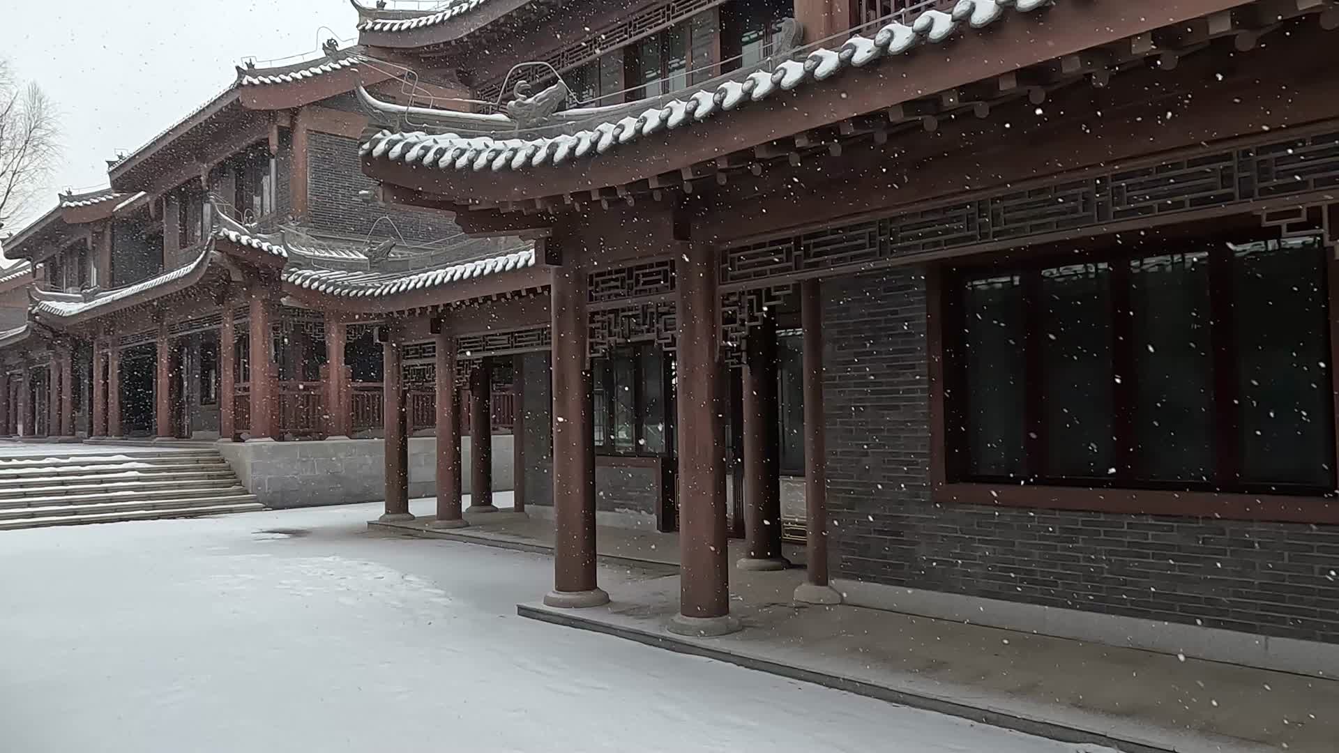 户外冬季大雪纷飞空镜古建筑视频的预览图