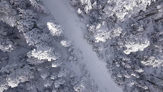 4K航拍雪山上的白雪覆盖树林视频的预览图