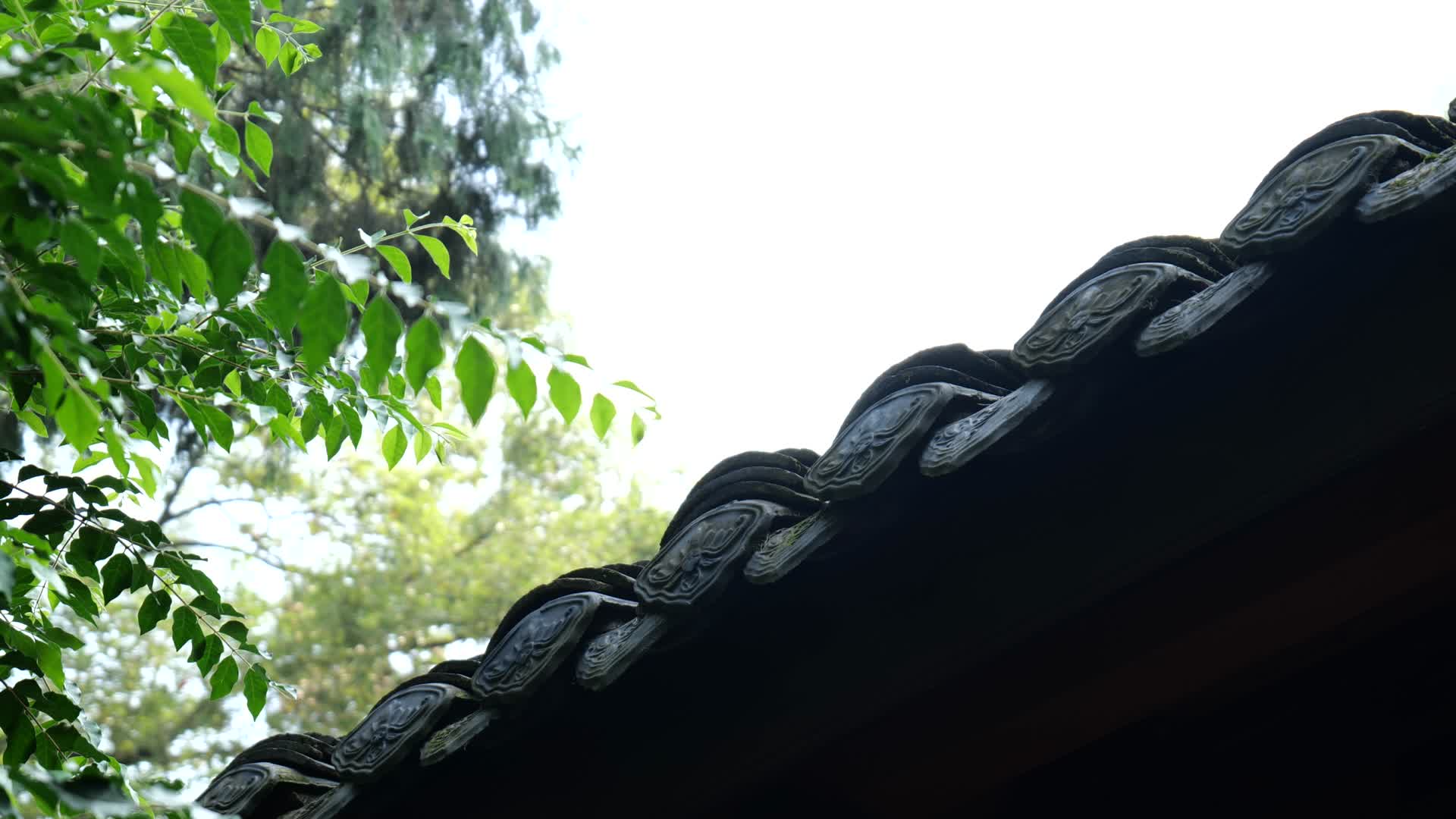 成都武侯祠清晨美丽建筑风光视频的预览图