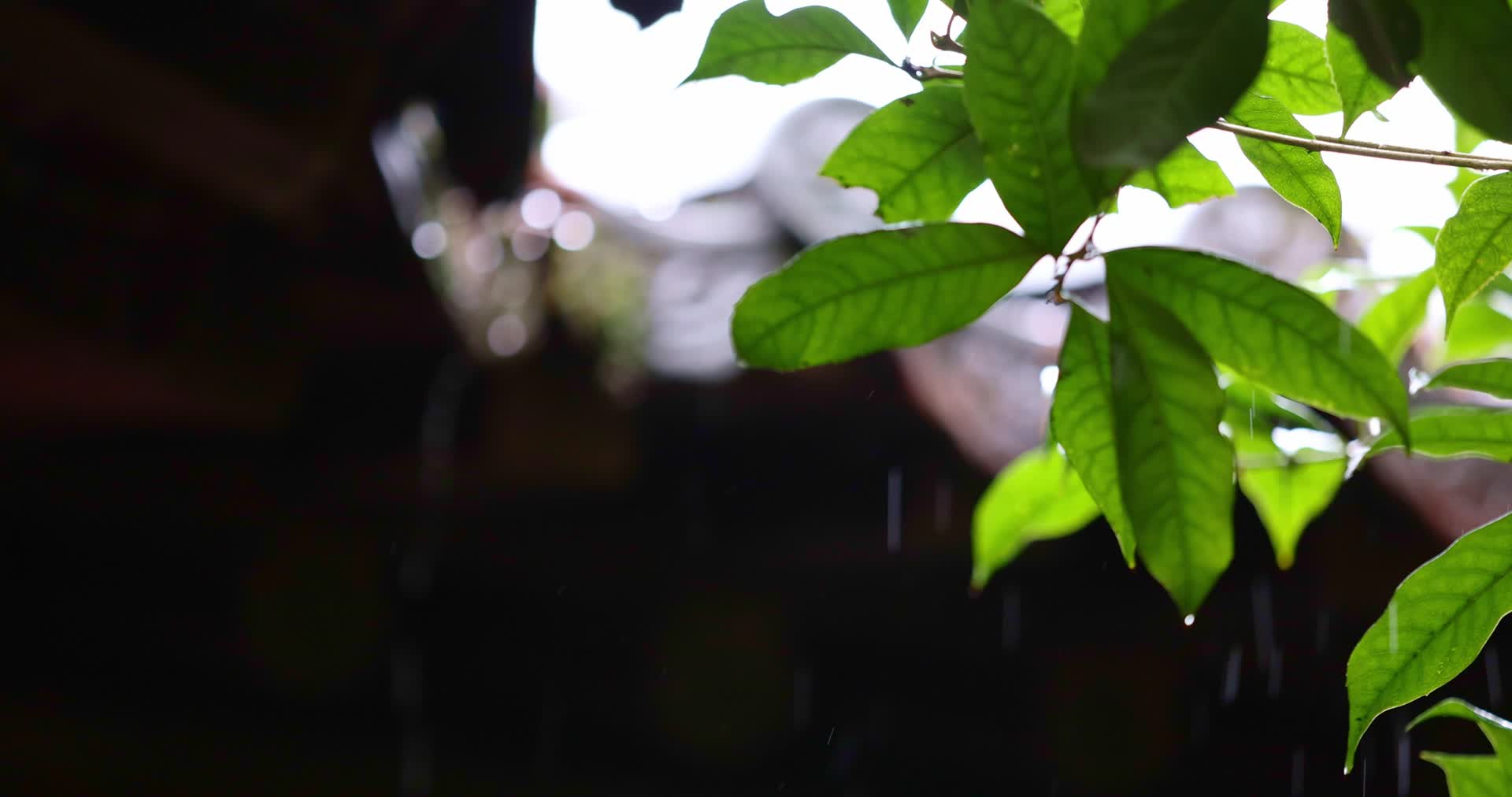 慢镜头杭州古风下雨天亭子屋檐视频的预览图
