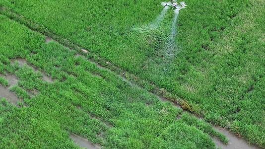 农业无人机喷洒药水灌溉农田视频的预览图