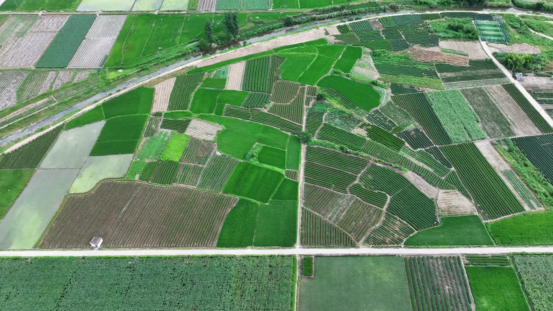 农业无人机喷洒农药灌溉视频的预览图