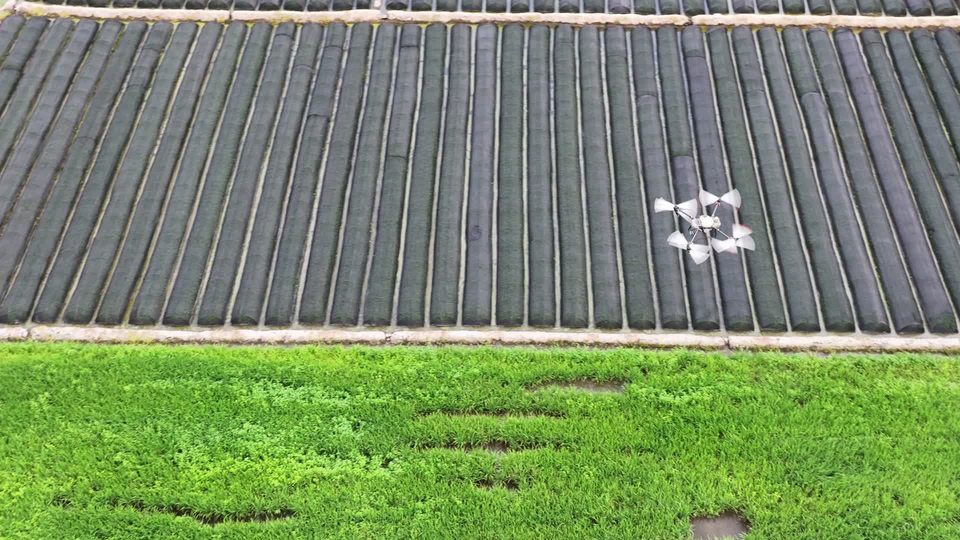 农业无人机喷洒农药灌溉视频的预览图
