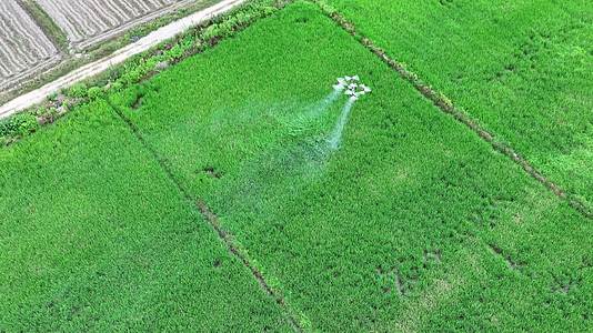 农业无人机喷洒药水灌溉农田视频的预览图