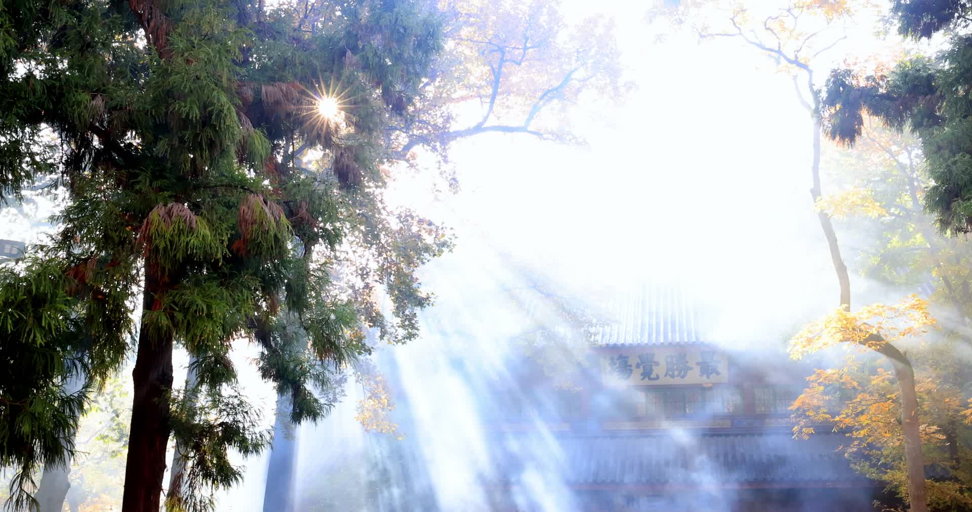 灵隐寺清晨阳光禅意寺庙视频的预览图
