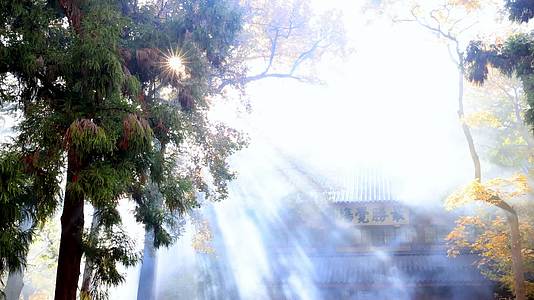 灵隐寺清晨阳光禅意寺庙视频的预览图