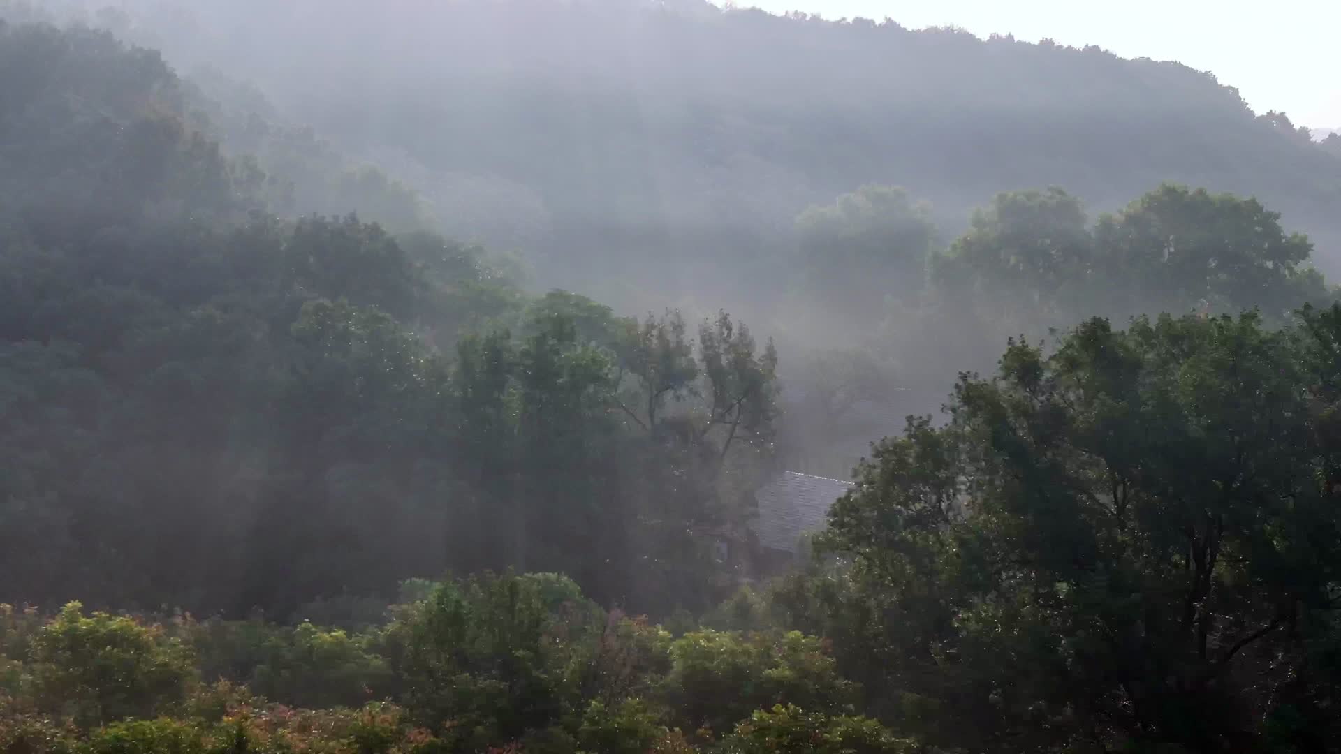航拍日出晨雾阳光丁达尔视频的预览图