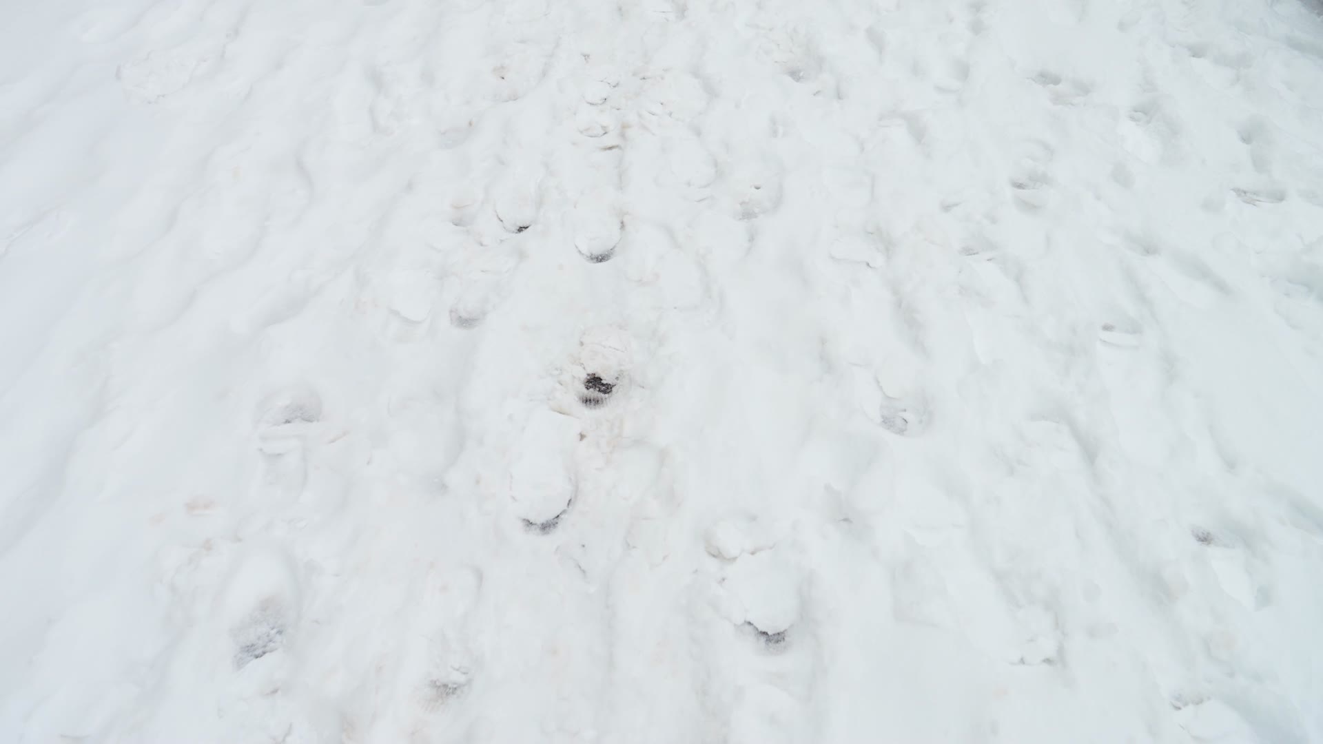 雪地脚步脚印雪中行走雪地行走雪地走路雪地脚步雪后行走大雪行走雪天走路雪天行走雪中前行视频的预览图